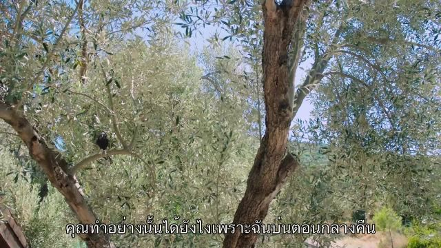 Ada Masali ซับไทย Island Tale EP04