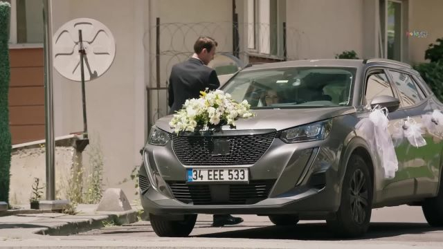 Ruzgarli Tepe EP130 Final