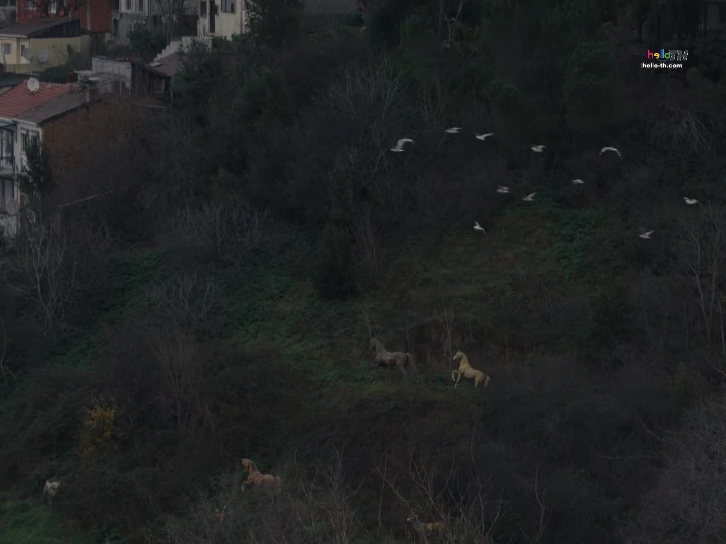 Istanbul Encyclopedia สองชีวิตอิสตันบูล ปี1 EP04