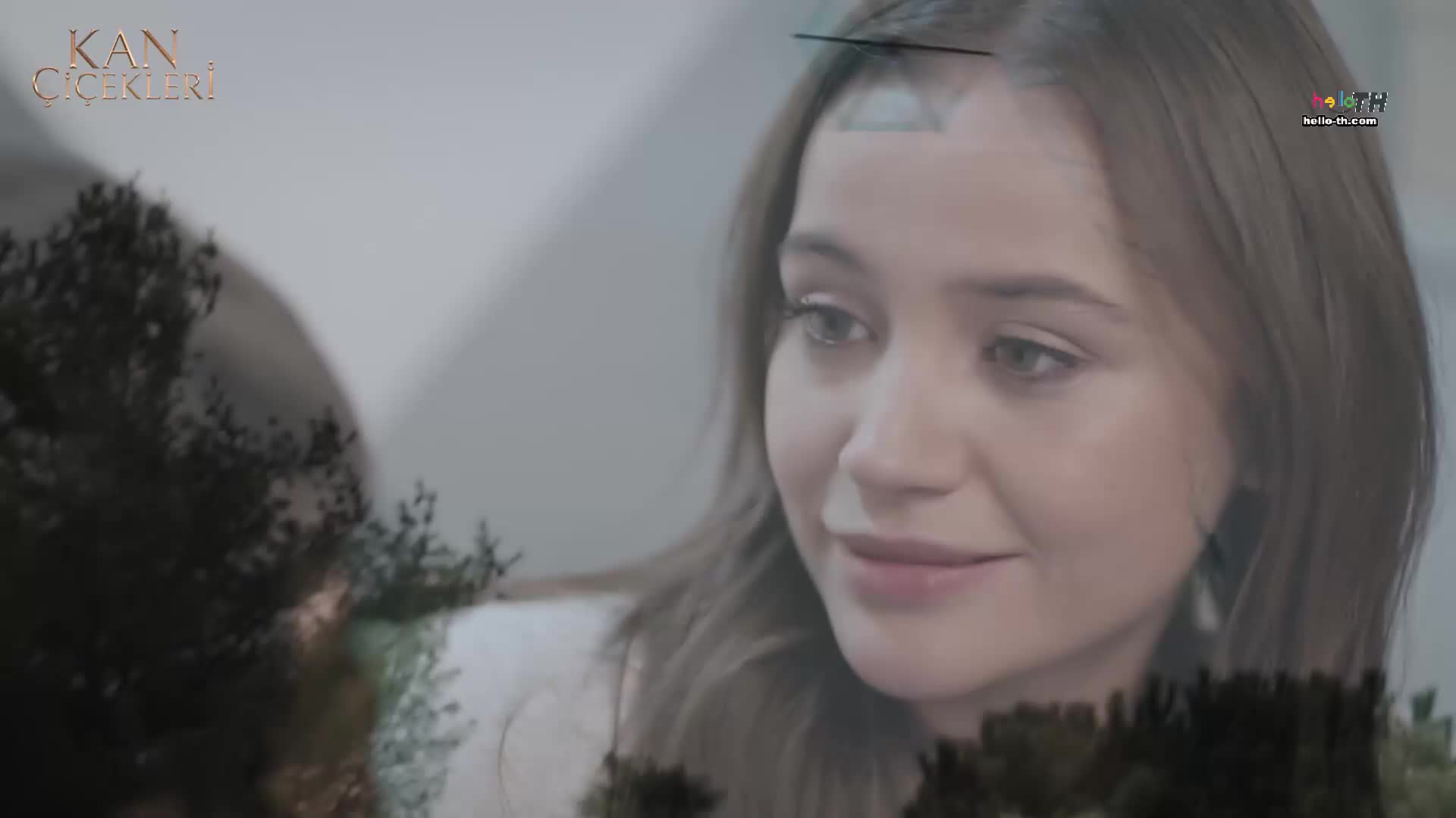 Kan Çiçekleri (Blood Flower) ดอกไม้สีเลือด EP433